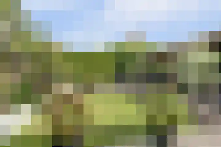 Metselaarsgilde 9 Dronten thumbnail 41