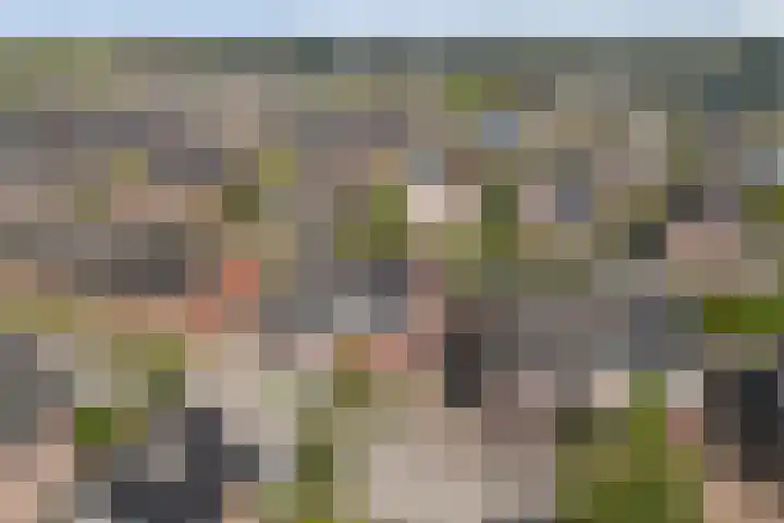 Metselaarsgilde 9 Dronten thumbnail 42