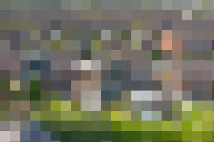 Metselaarsgilde 9 Dronten thumbnail 43