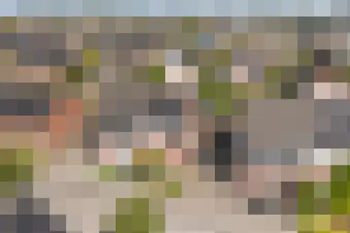Metselaarsgilde 9 Dronten thumbnail 44