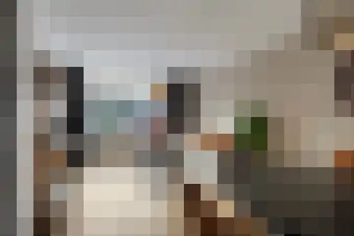 Metselaarsstraat 29 Hoorn thumbnail 10