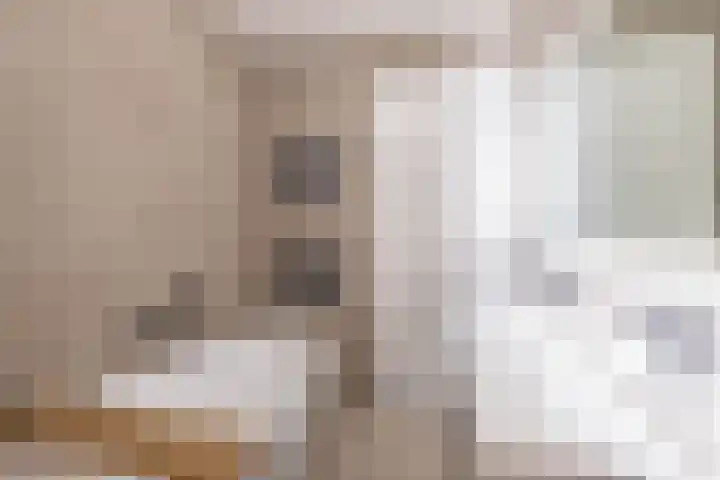 Metselbij 9 Waddinxveen thumbnail 21