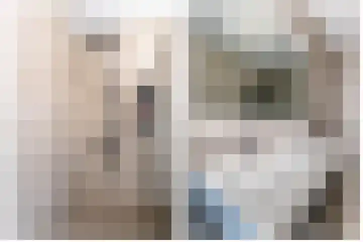 Metselbij 9 Waddinxveen thumbnail 22