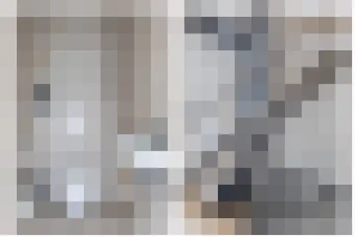 Metselbij 9 Waddinxveen thumbnail 24