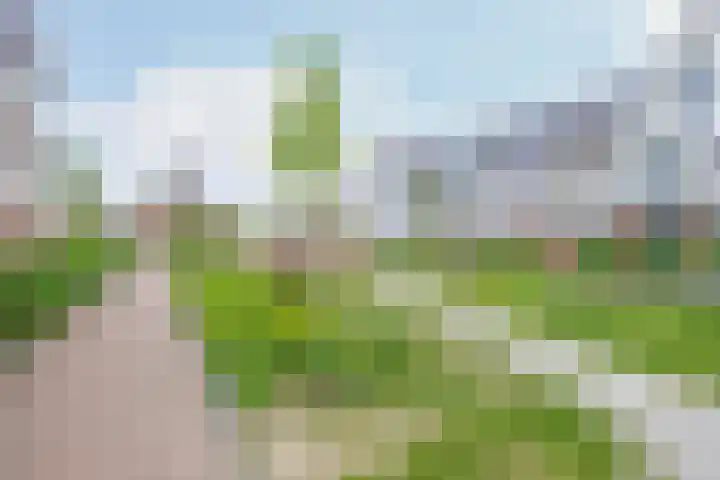 Metselbij 9 Waddinxveen thumbnail 29