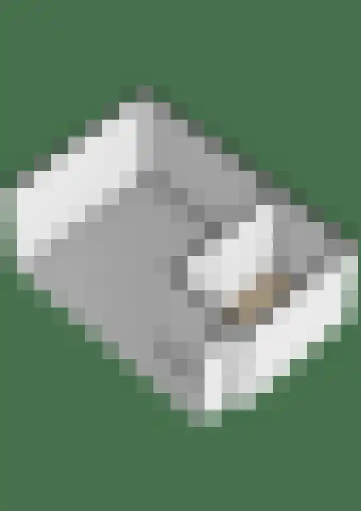 Metselbij 9 Waddinxveen thumbnail 33