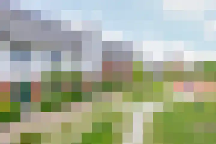 Metselbij 9 Waddinxveen thumbnail 4