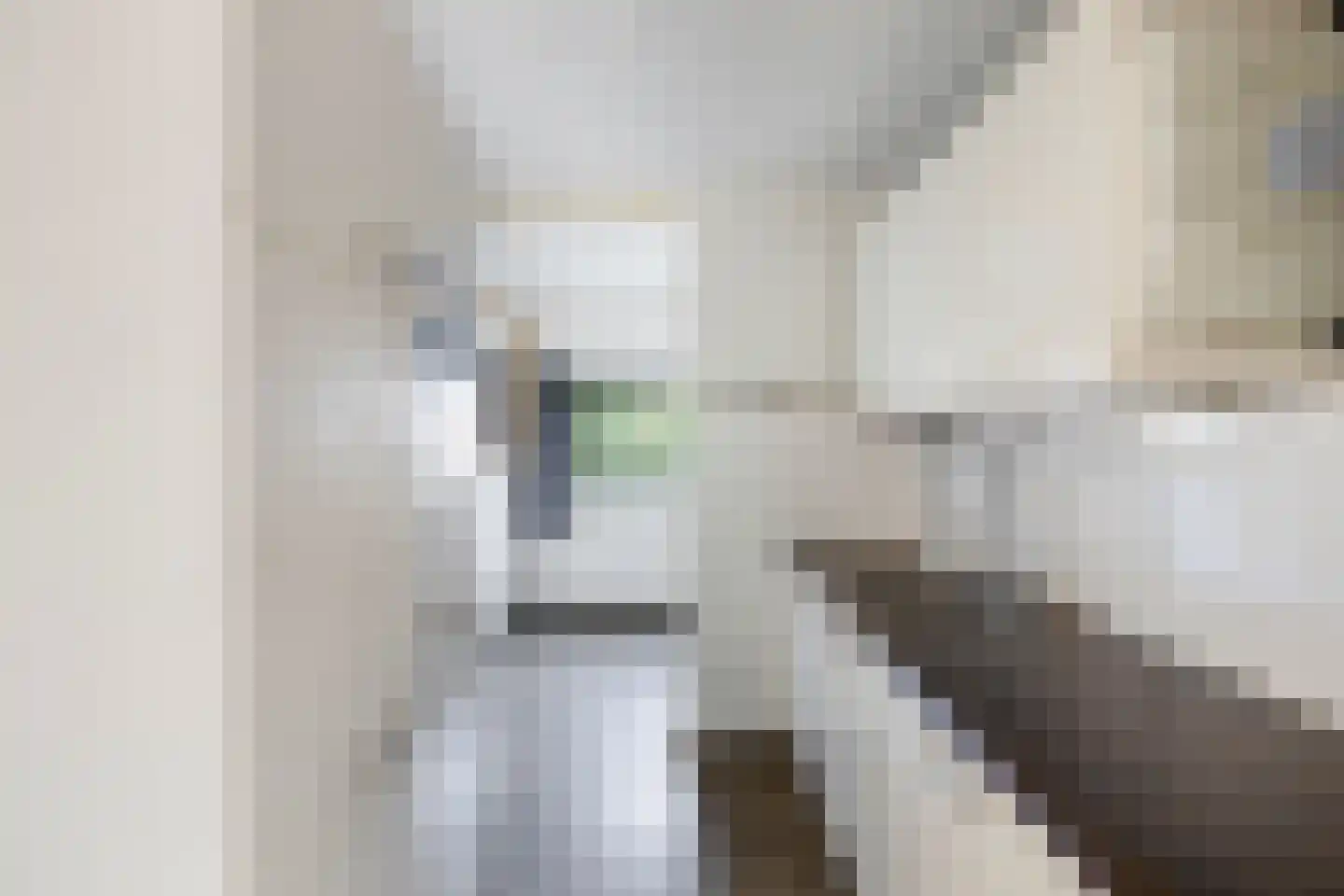 Metslawierstraat 12 Tilburg thumbnail 18