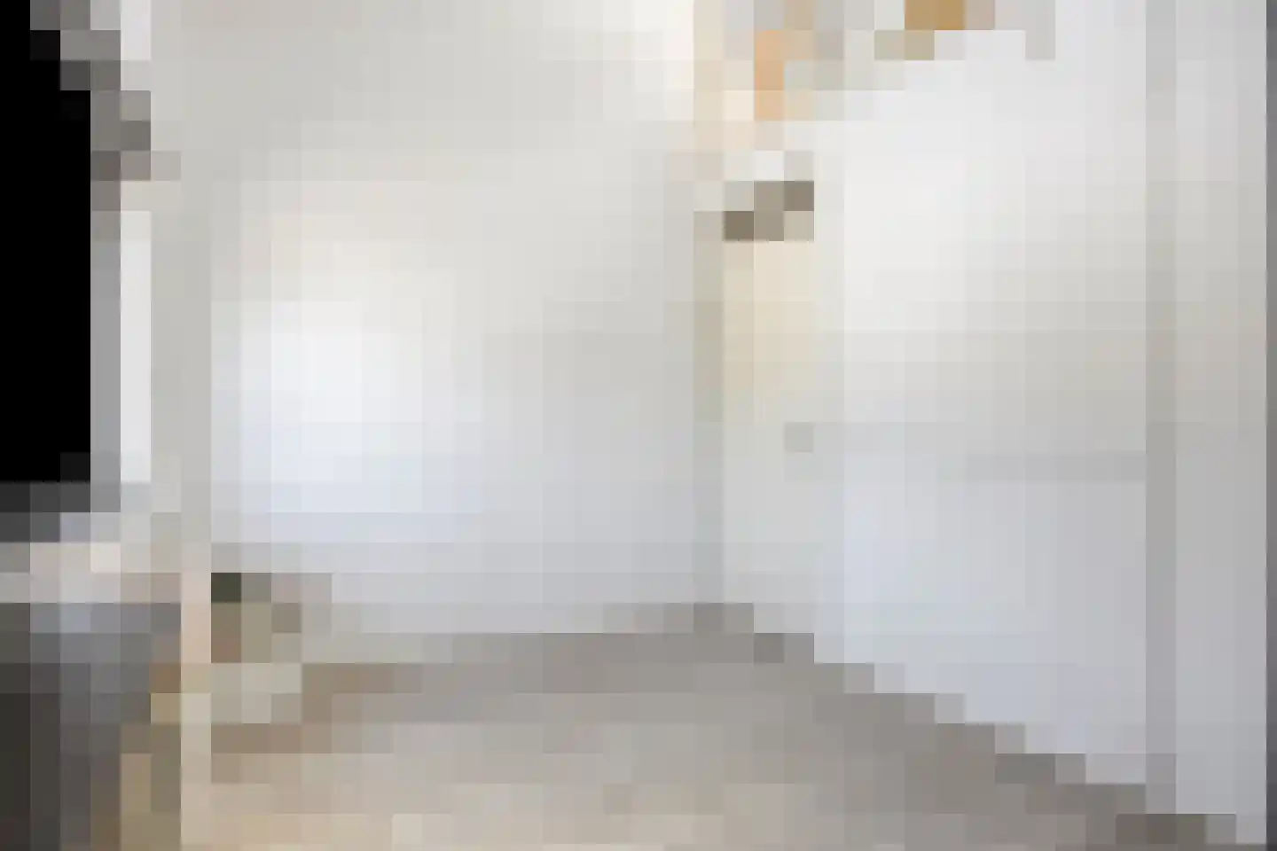 Metslawierstraat 12 Tilburg thumbnail 22