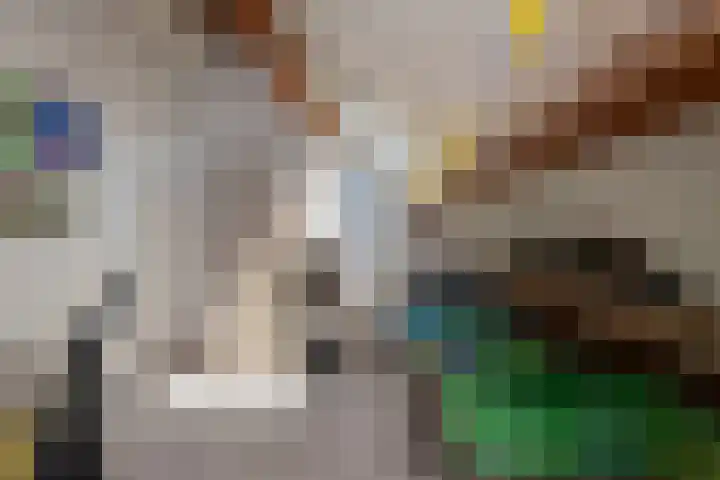 Metslawierstraat 18 Tilburg thumbnail 29