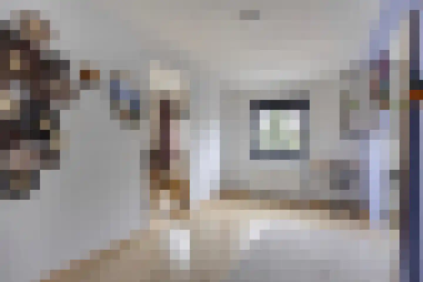 Metslawierstraat 2 Tilburg thumbnail 30