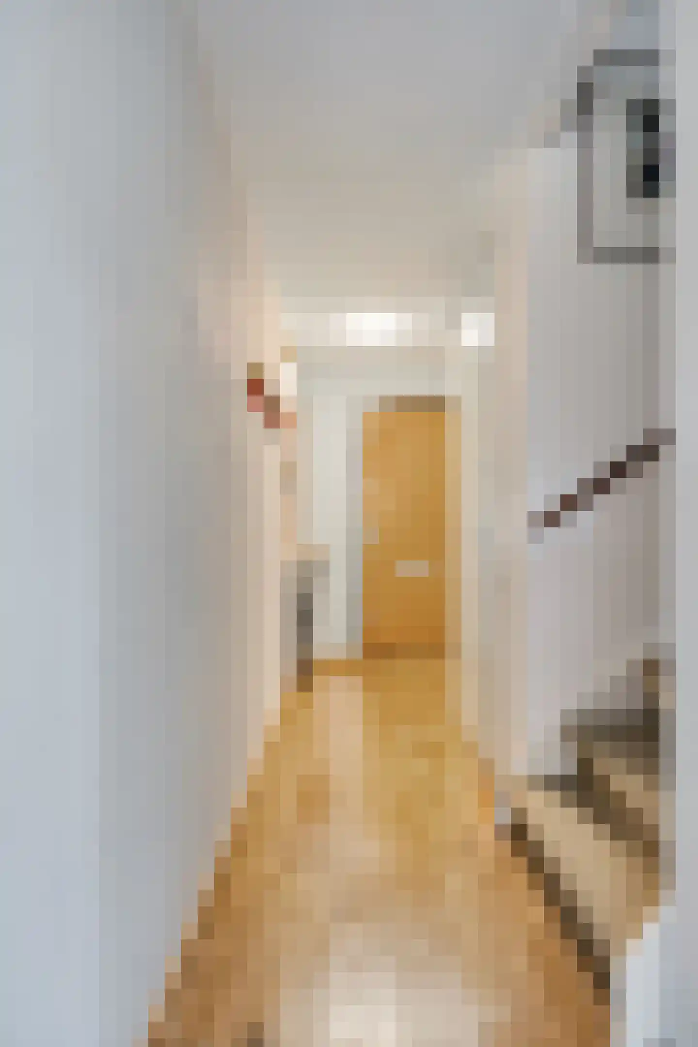 Metslawierstraat 2 Tilburg thumbnail 9