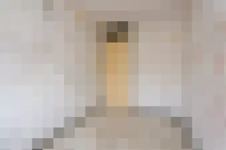 Metslawierstraat 21 Tilburg thumbnail 23