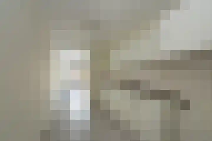 Metslawierstraat 33 Tilburg thumbnail 5