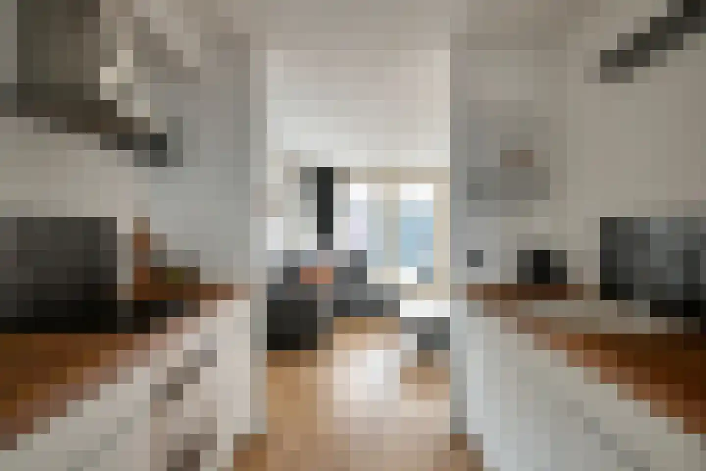 Metslawierstraat 48 Tilburg thumbnail 10