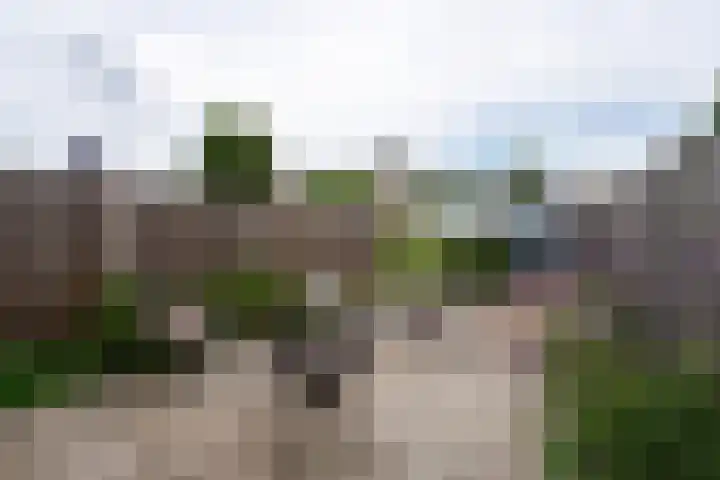 Metslawierstraat 51 Tilburg thumbnail 24