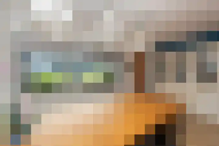Metslawierstraat 51 Tilburg thumbnail 8