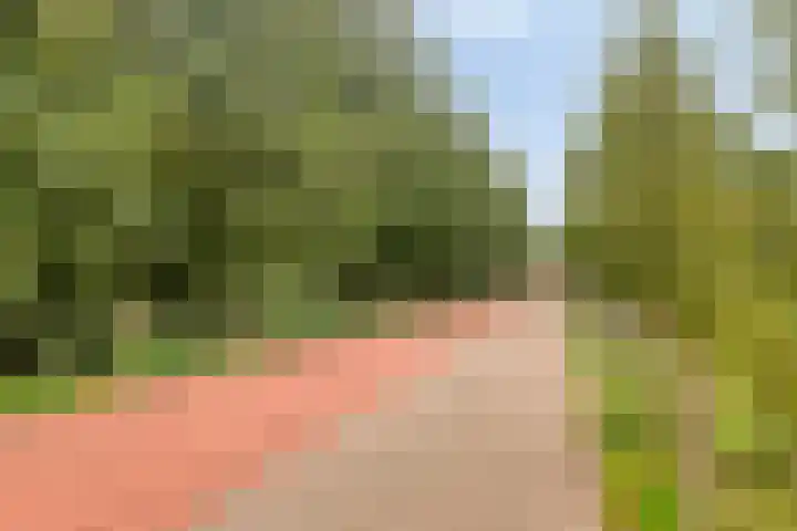 Metslawierstraat 6 Tilburg thumbnail 36