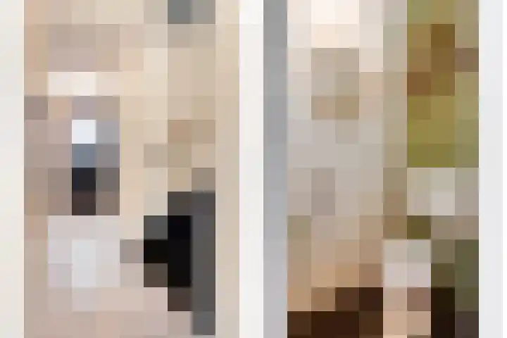 Metslawierstraat 6 Tilburg thumbnail 7