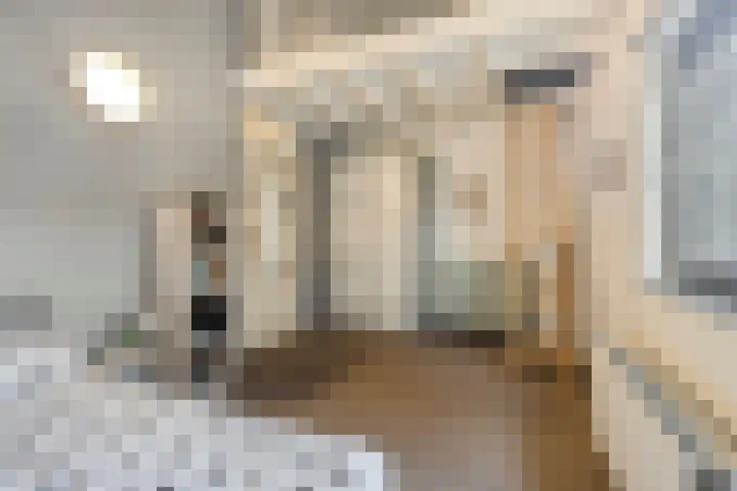 Metslawierstraat 70 Tilburg thumbnail 5