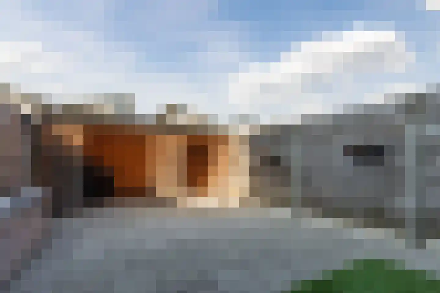 Metslawierstraat 77 Tilburg thumbnail 4