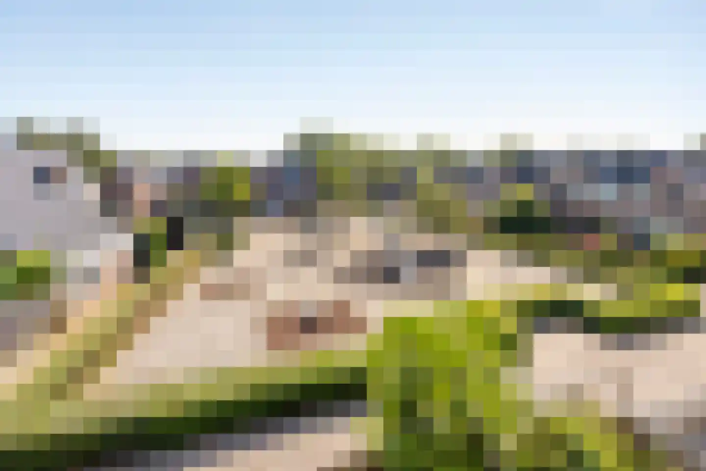 Metsustraat 20 Oud-Beijerland thumbnail 34
