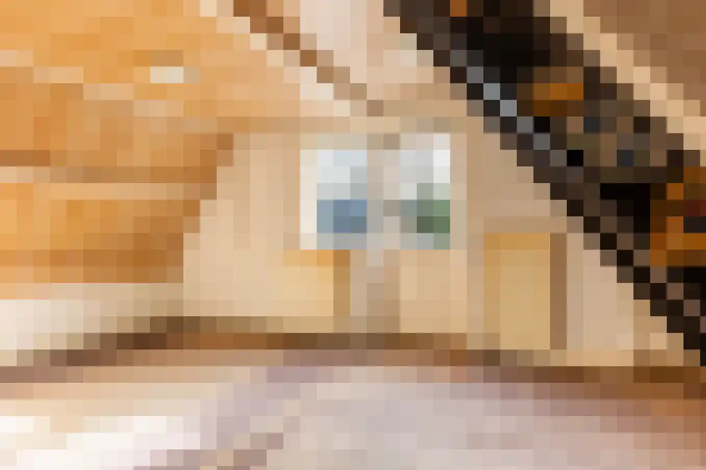 Mettaweg 11 Ugchelen thumbnail 25