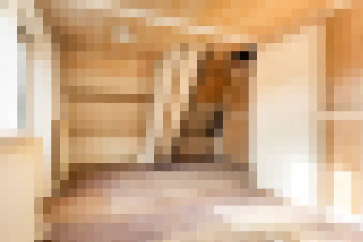 Mettaweg 11 Ugchelen thumbnail 26