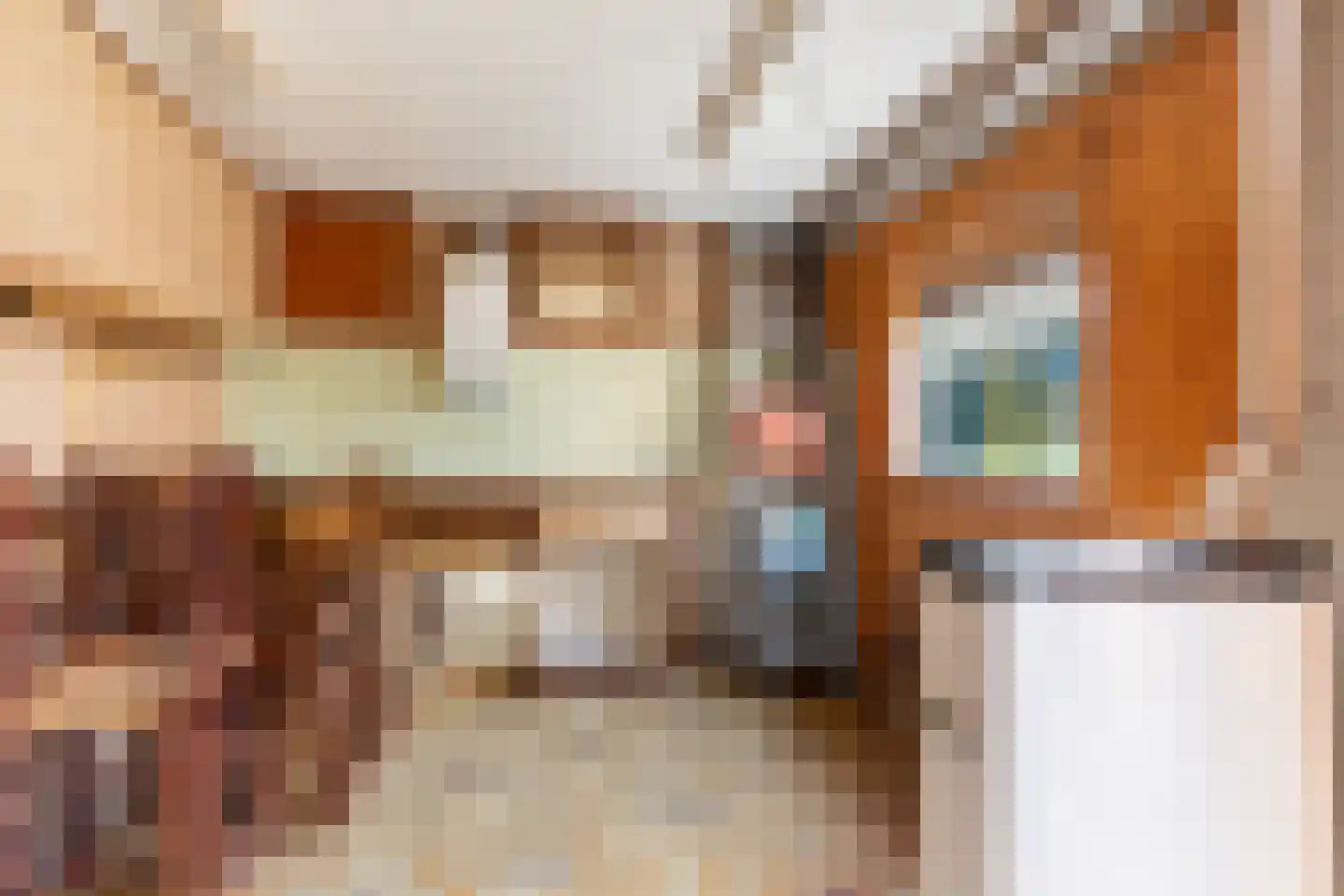 Mettaweg 11 Ugchelen thumbnail 30