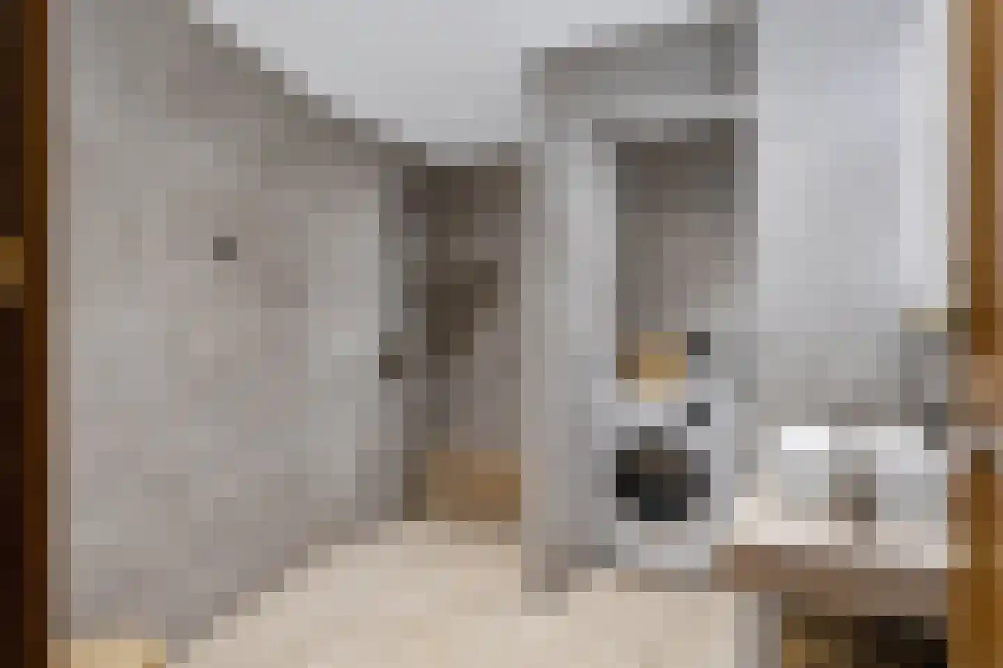 Mettaweg 6 Ugchelen thumbnail 21
