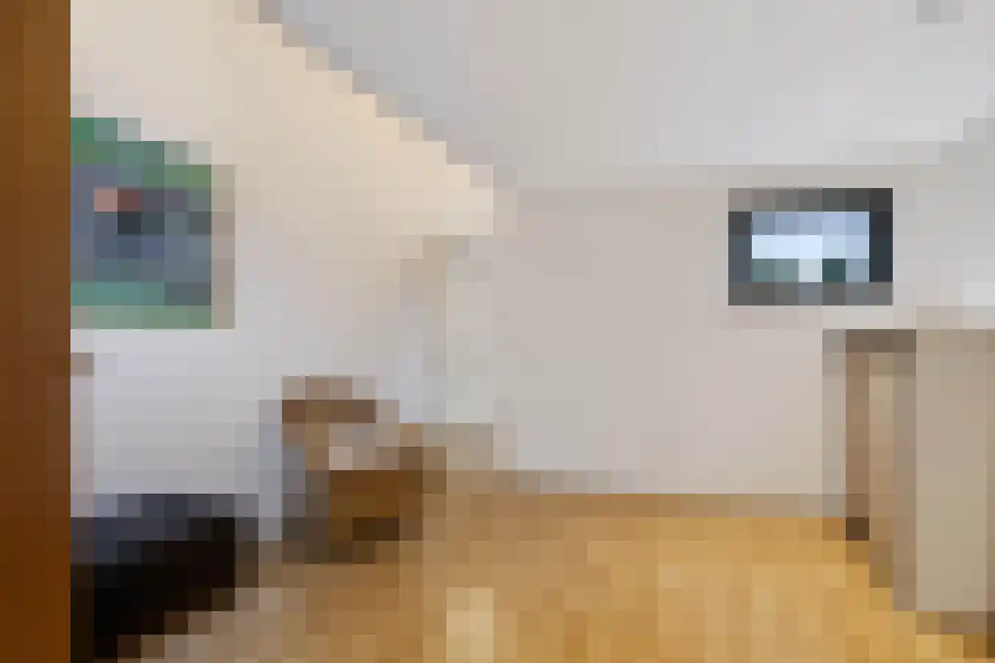 Mettaweg 6 Ugchelen thumbnail 29