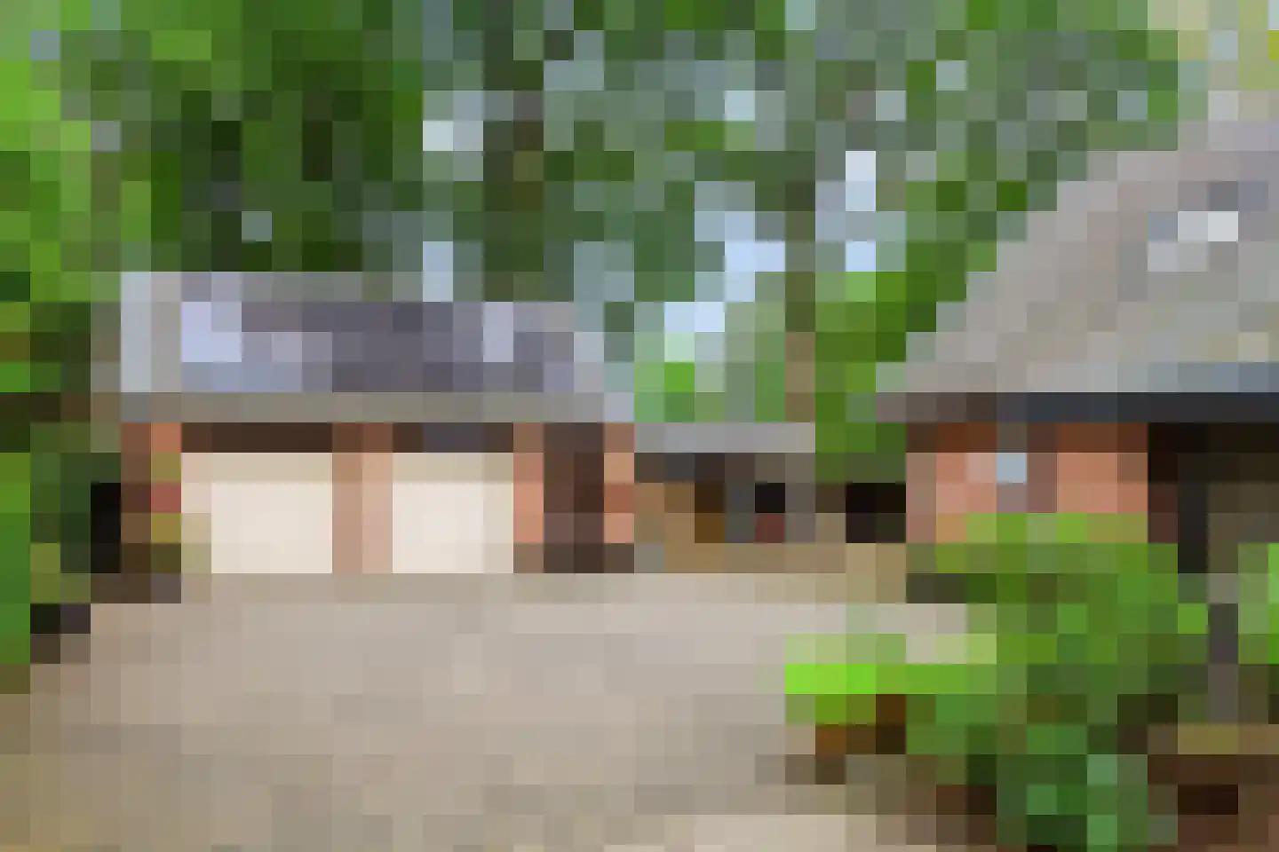 Mettaweg 6 Ugchelen thumbnail 37