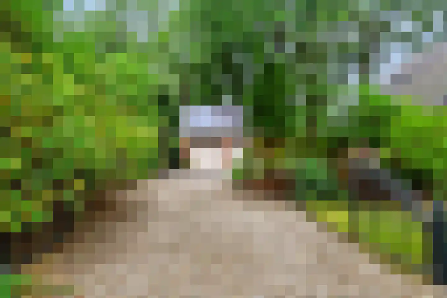 Mettaweg 6 Ugchelen thumbnail 38