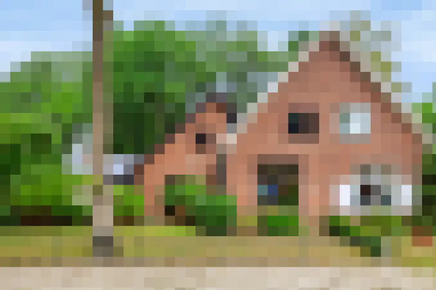 Mettaweg 6 Ugchelen thumbnail 39