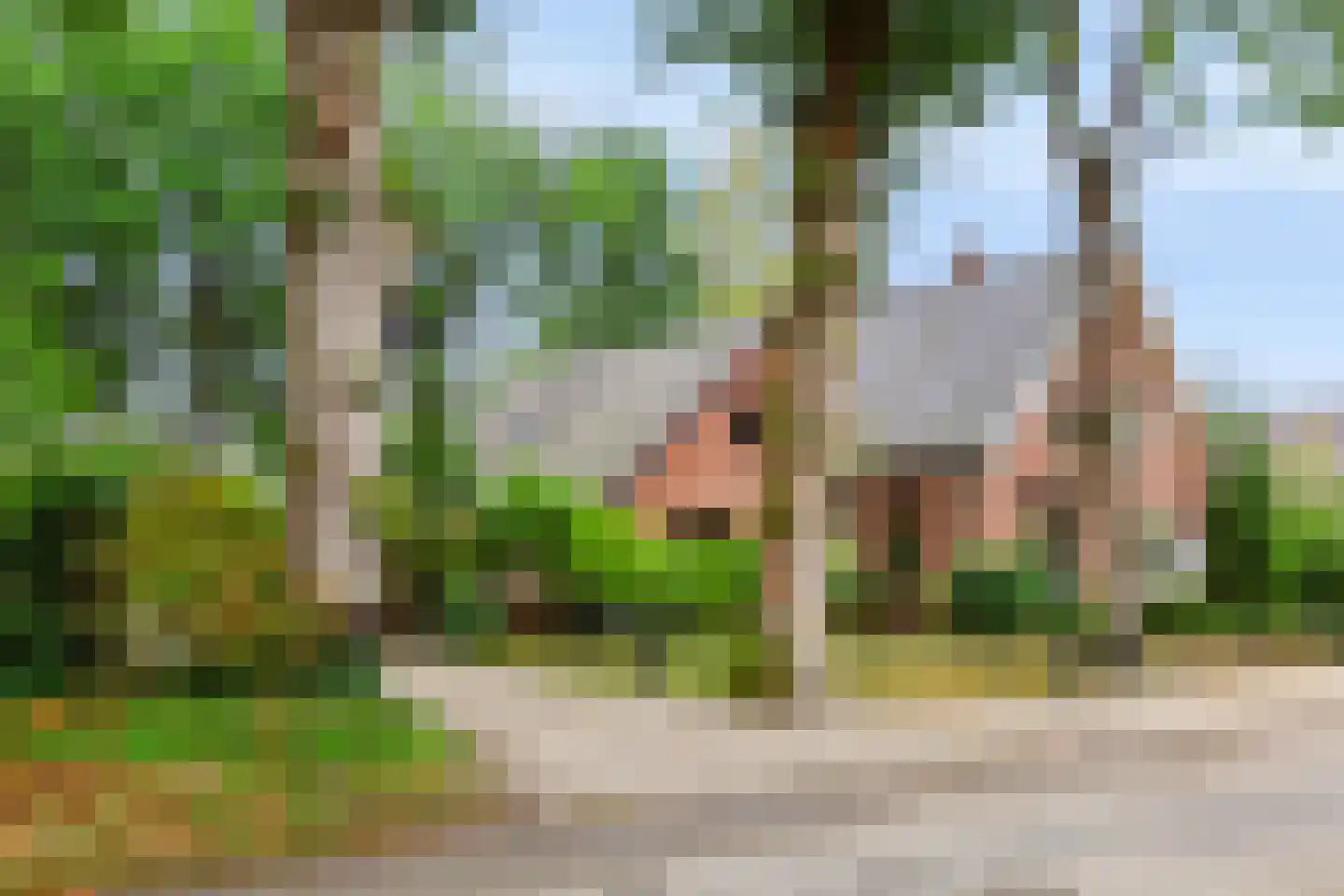 Mettaweg 6 Ugchelen thumbnail 40