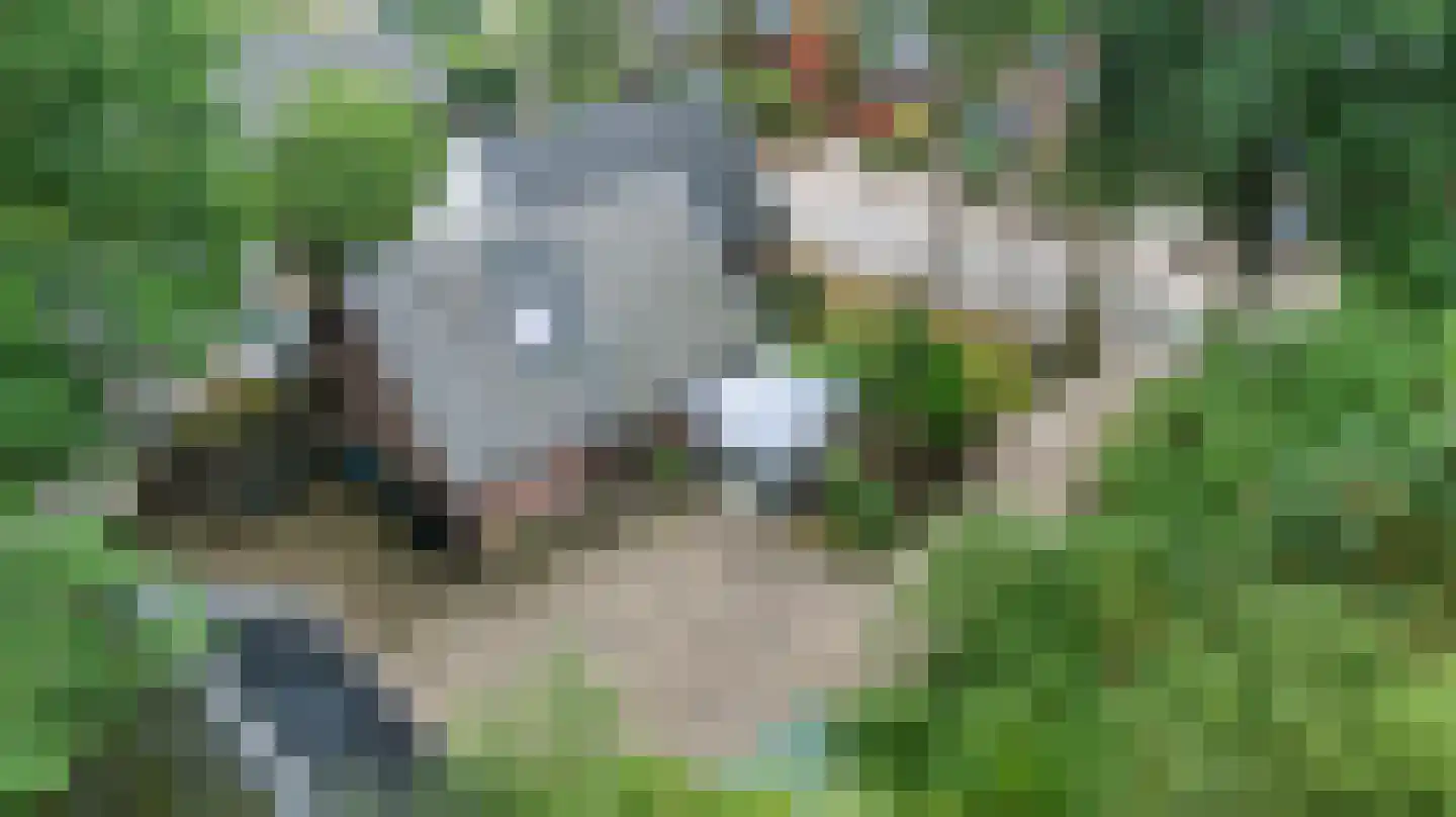 Mettaweg 6 Ugchelen thumbnail 42