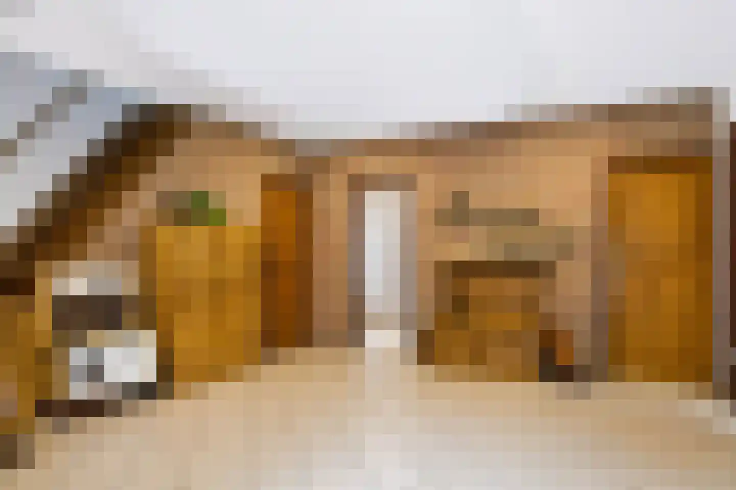 Mettaweg 6 Ugchelen thumbnail 5