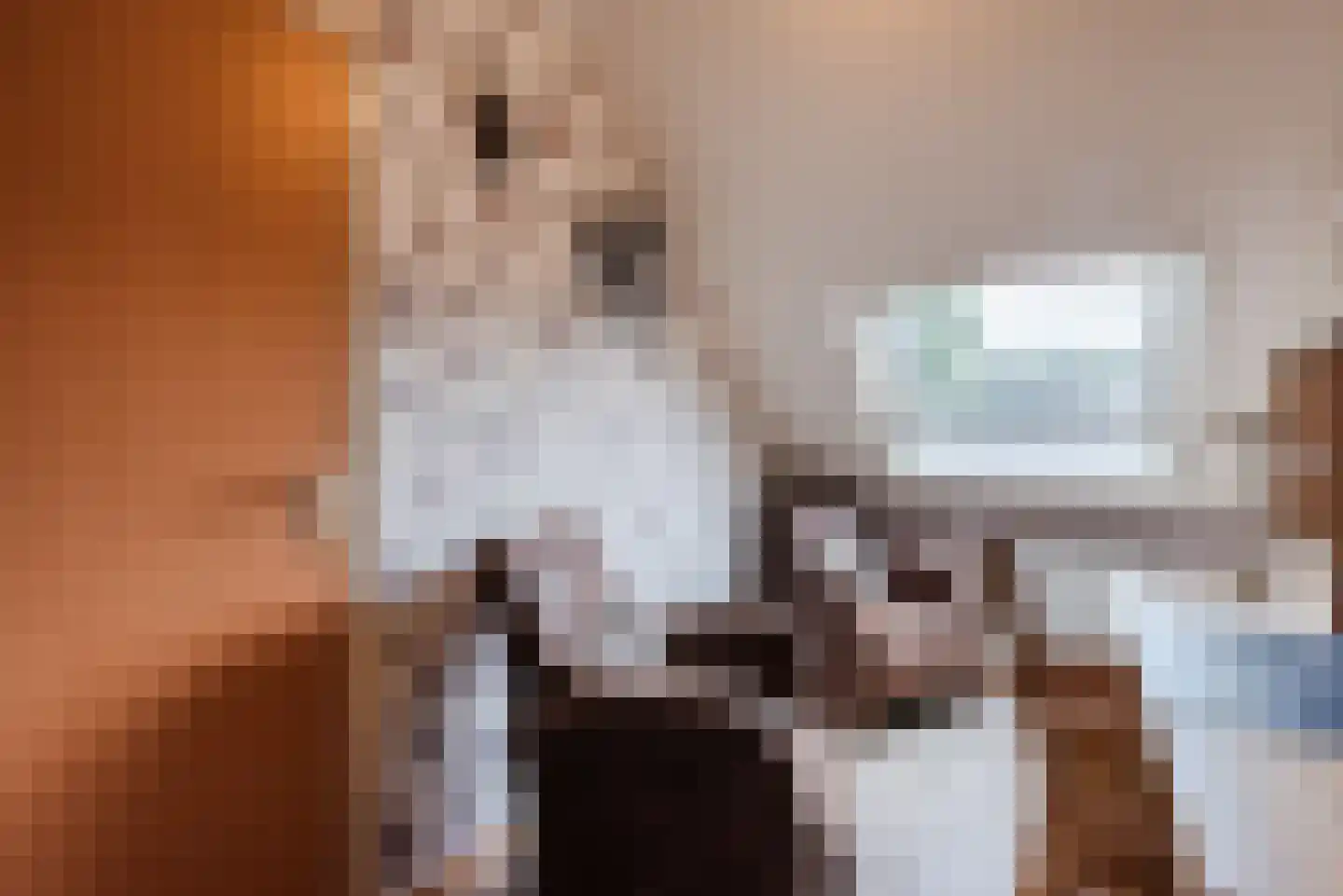 Metten Gerritskamp 12 Harderwijk thumbnail 22