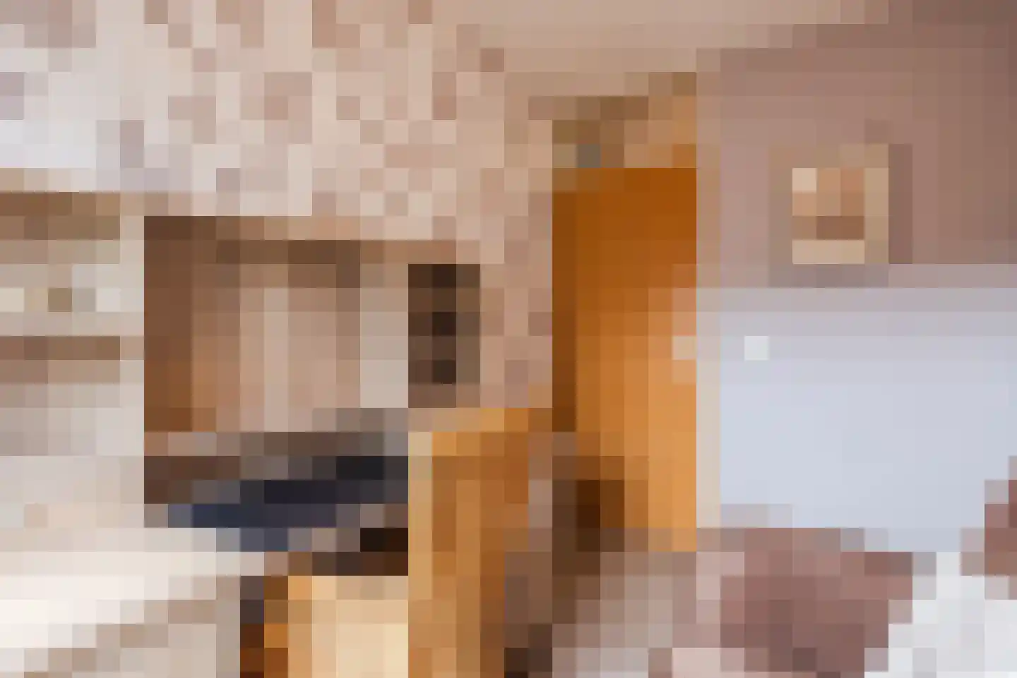 Metten Gerritskamp 12 Harderwijk thumbnail 24