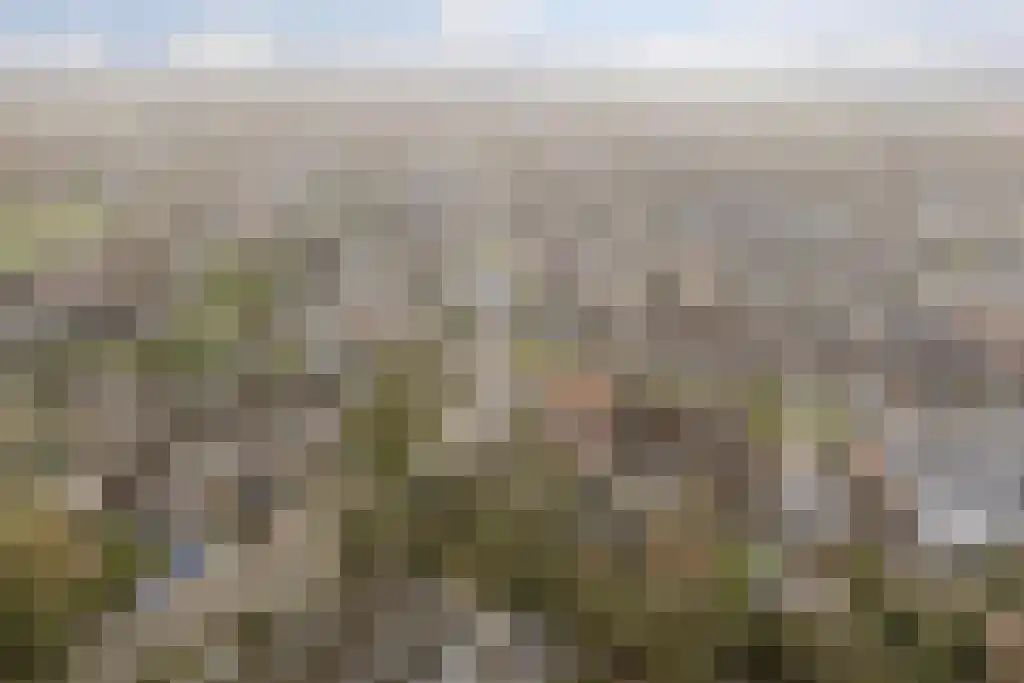 Metten Gerritskamp 12 Harderwijk thumbnail 54