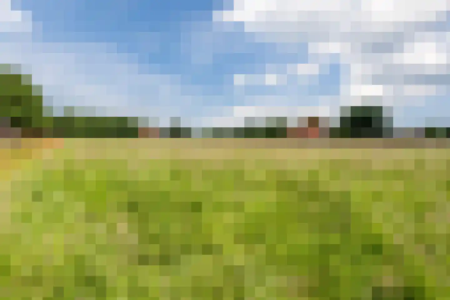 Metten Gerritskamp 12 Harderwijk thumbnail 57