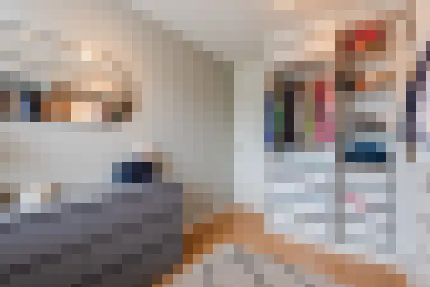 Metten Gerritskamp 34 Harderwijk thumbnail 24