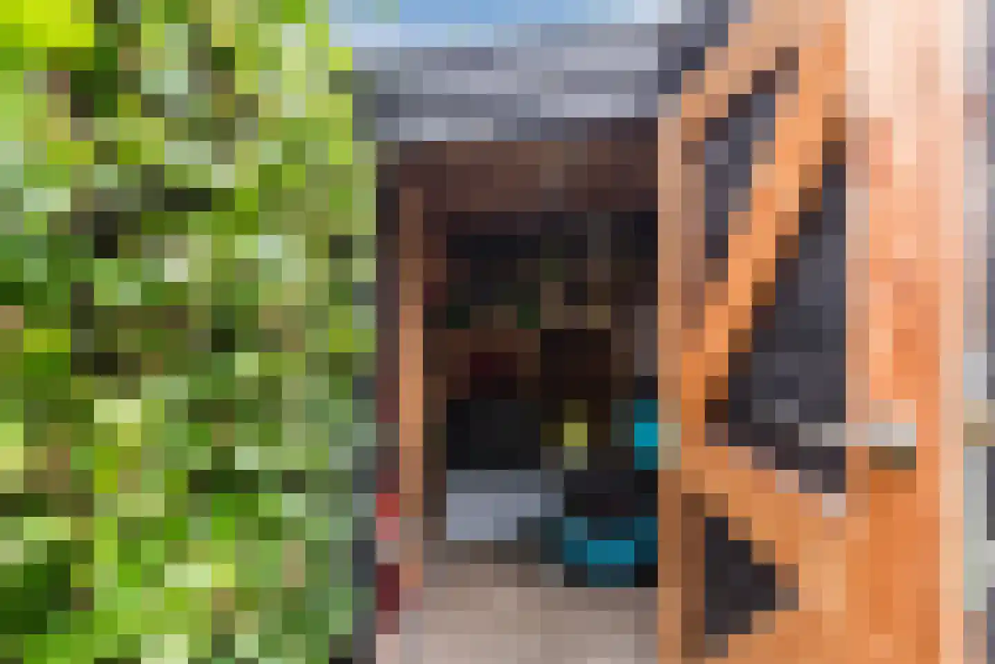 Metten Gerritskamp 34 Harderwijk thumbnail 44