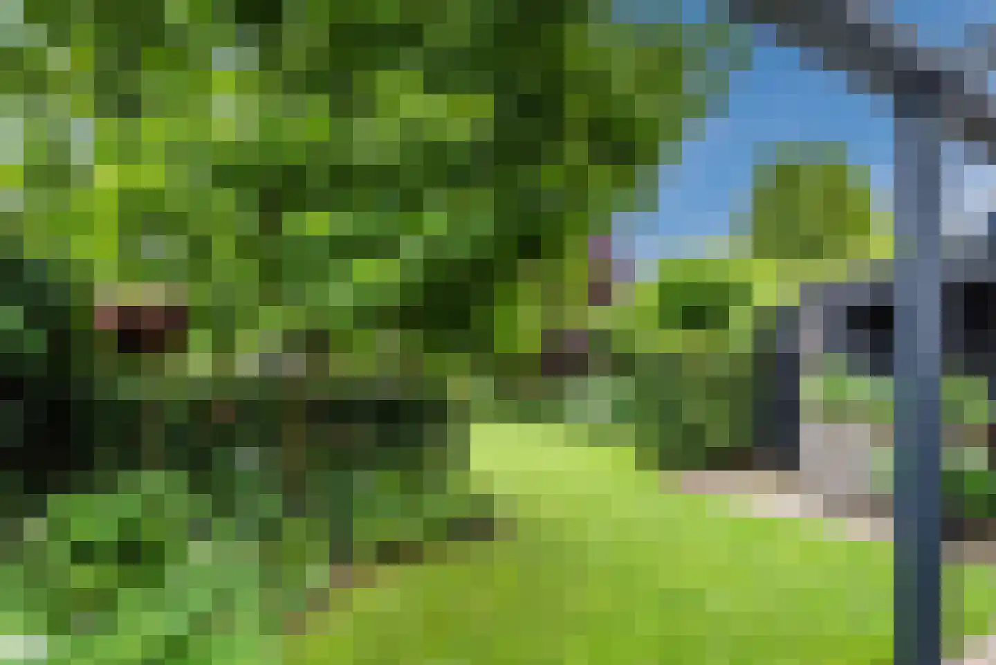 Metten Gerritskamp 34 Harderwijk thumbnail 48
