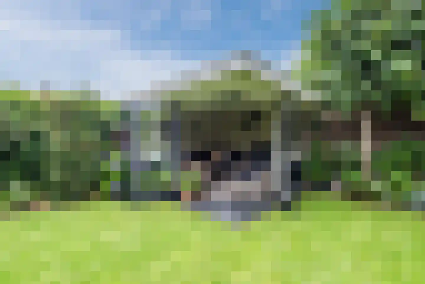 Metten Gerritskamp 34 Harderwijk thumbnail 52