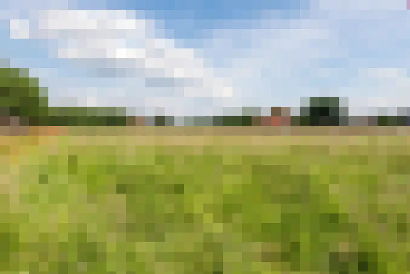 Metten Gerritskamp 34 Harderwijk thumbnail 67
