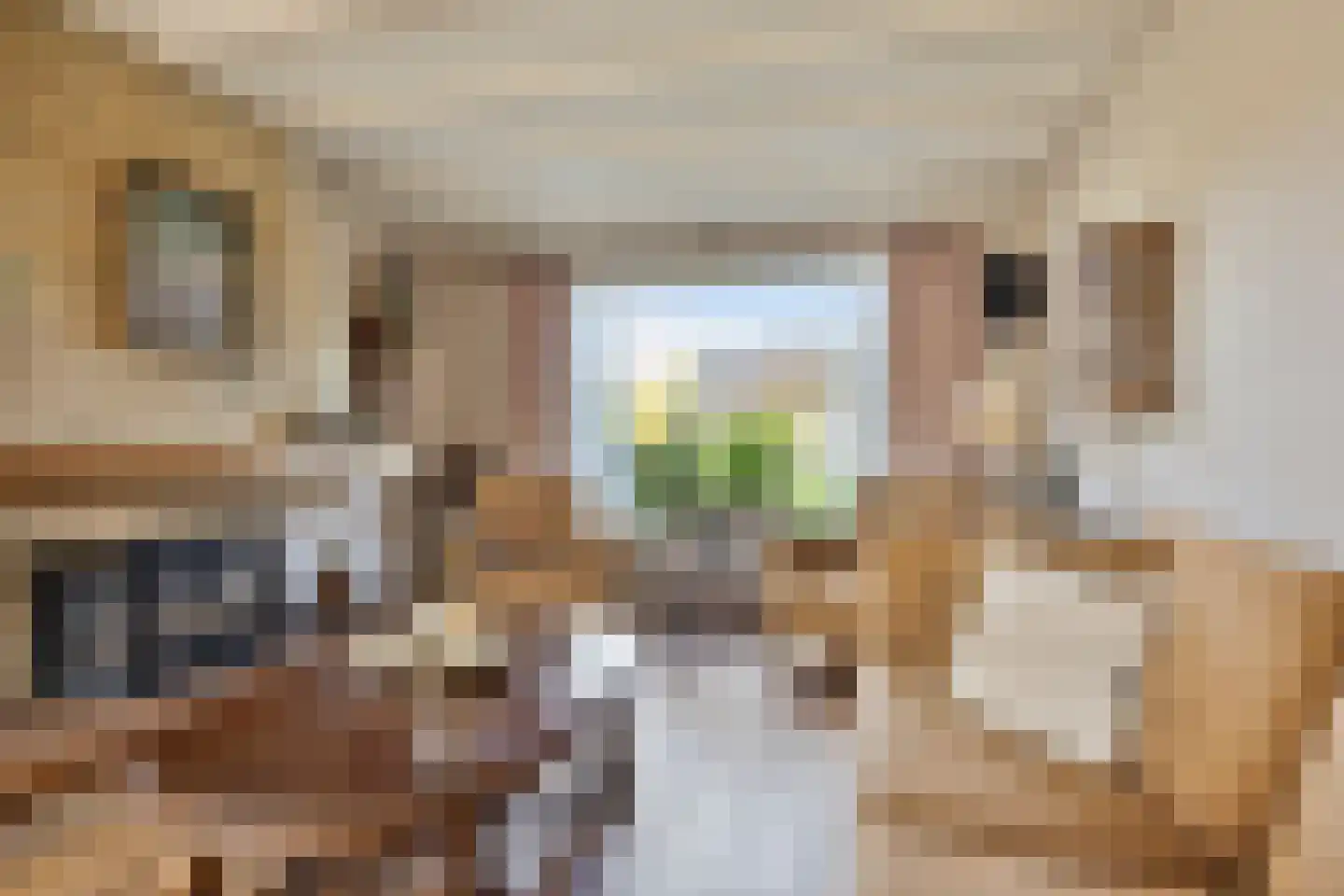 Mettenbrincklaan 6 Barneveld thumbnail 13
