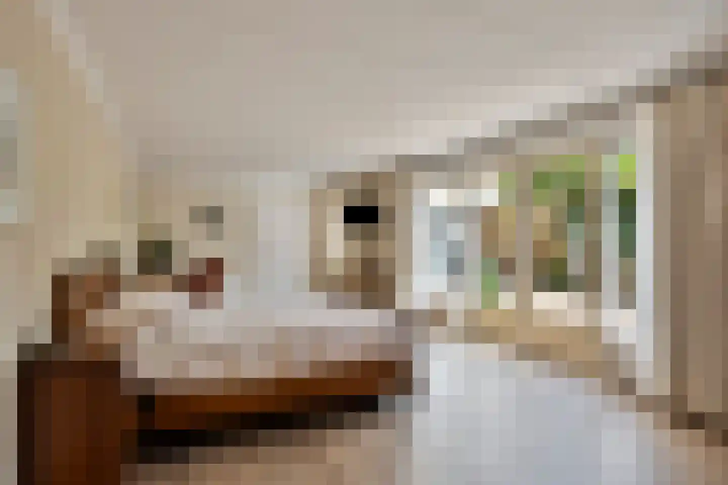 Mettenbrincklaan 6 Barneveld thumbnail 21