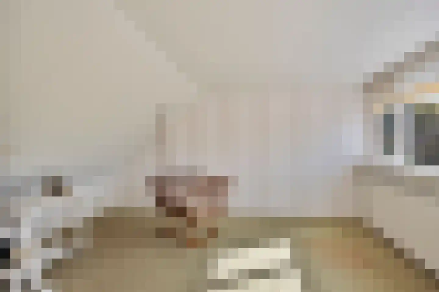 Mettenbrincklaan 6 Barneveld thumbnail 32