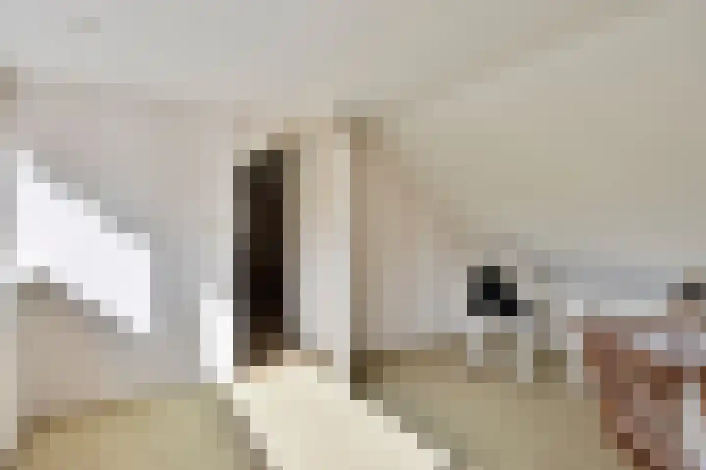Mettenbrincklaan 6 Barneveld thumbnail 34